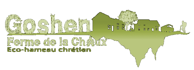 LOGO GOSHEN 